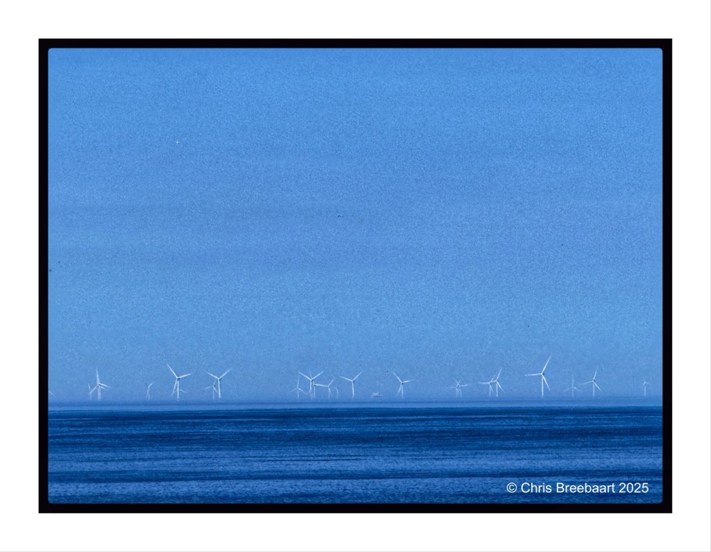 A serene view of offshore wind turbines on a blue sea under a clear sky.