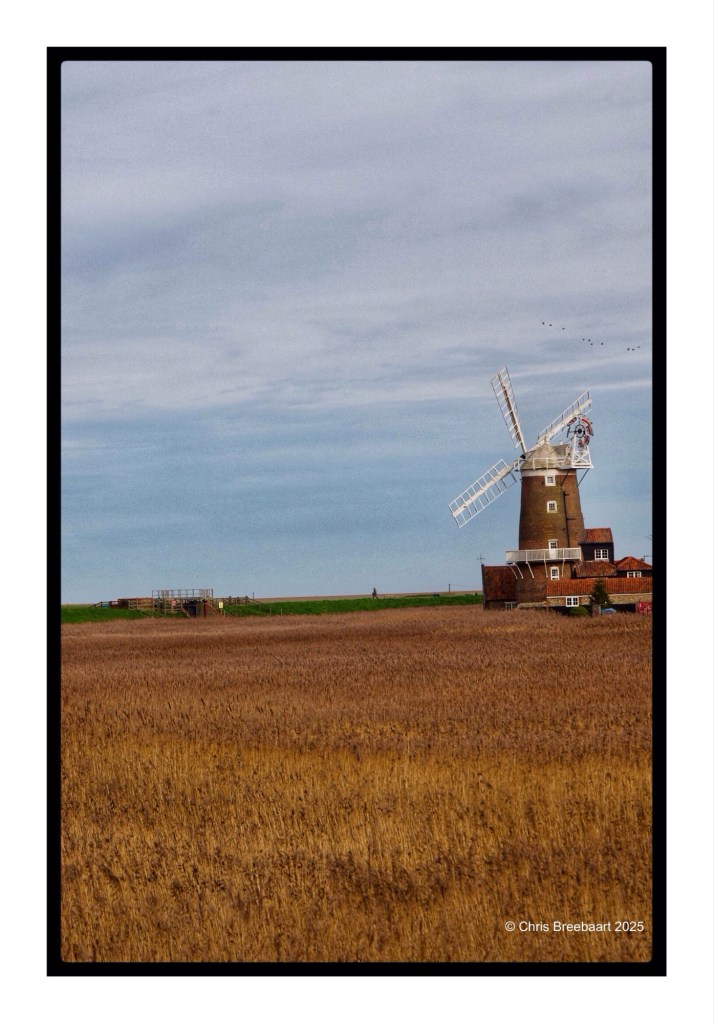 A scenic view of the Cley windmill set against a backdrop of a cloudy sky and tall golden grasses in the foreground.