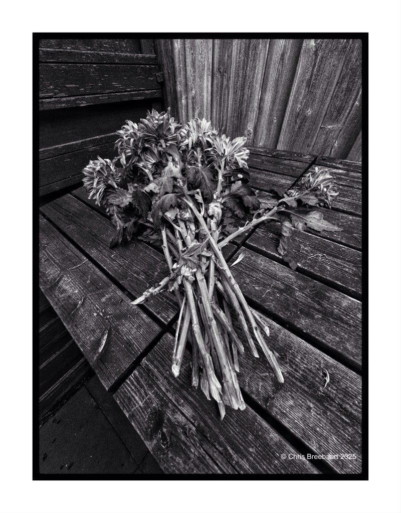 A black and white photograph of a bouquet of flowers resting on a wooden table, emphasizing texture and contrast.