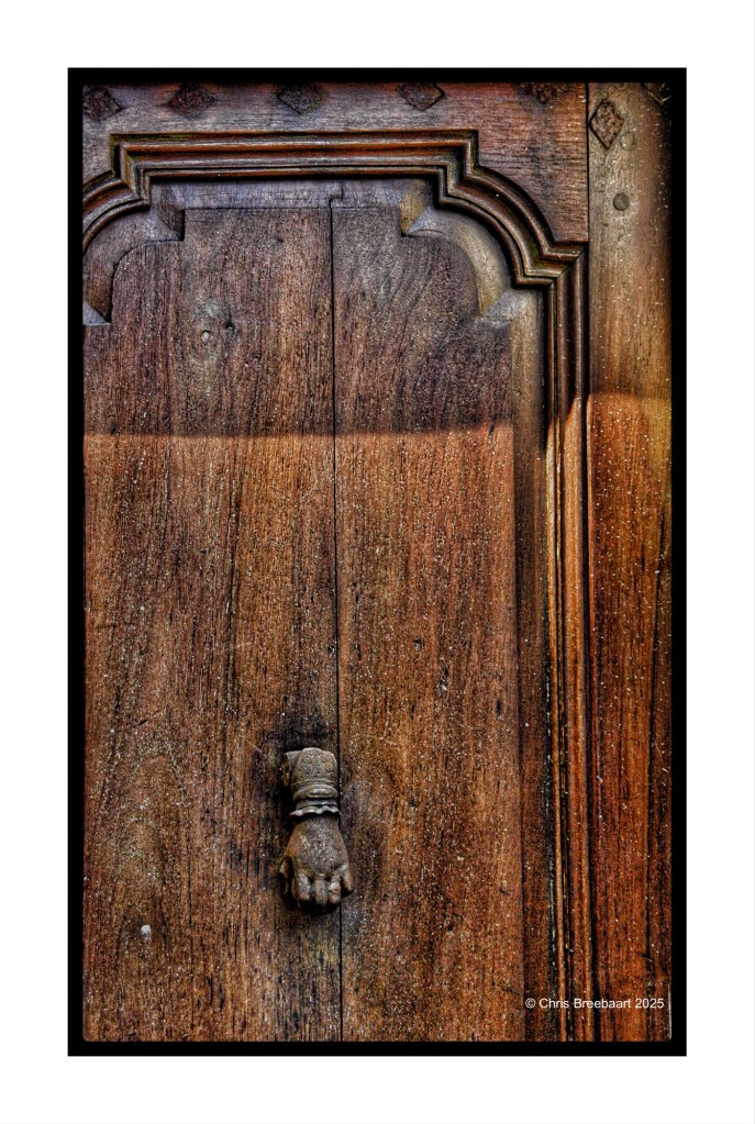 A detailed close-up of a wooden door featuring a unique hand-shaped door knocker, showcasing an intricate design.