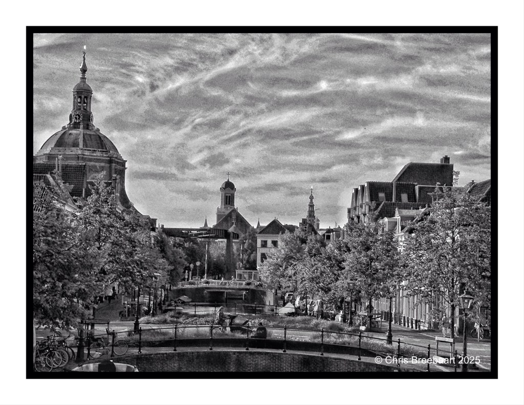 Black and white view of Leiden's canals and historic architecture, featuring a dome and trees lining the waterfront.