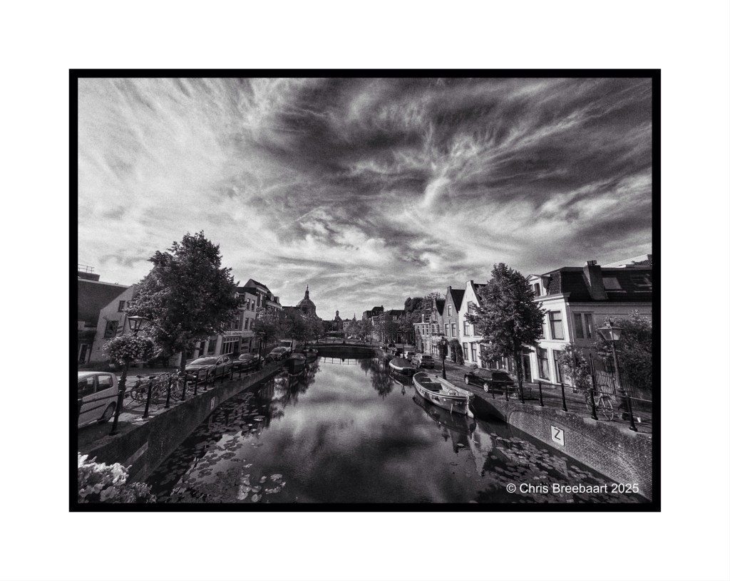 A black and white view of a canal in Leiden, featuring trees lining the banks, historic buildings, and reflections in the water under a cloudy sky.