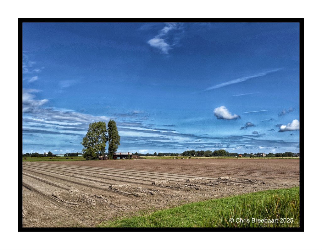 A serene landscape featuring a plowed field under a blue sky with scattered clouds, trees in the foreground, and a distant farmhouse.