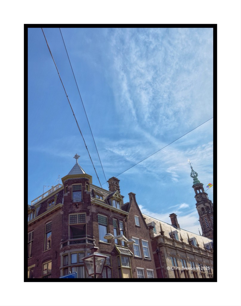 Detail of buildings along Breestraat in Leiden, showcasing architectural features beneath a clear blue sky with the town hall tower in the background.