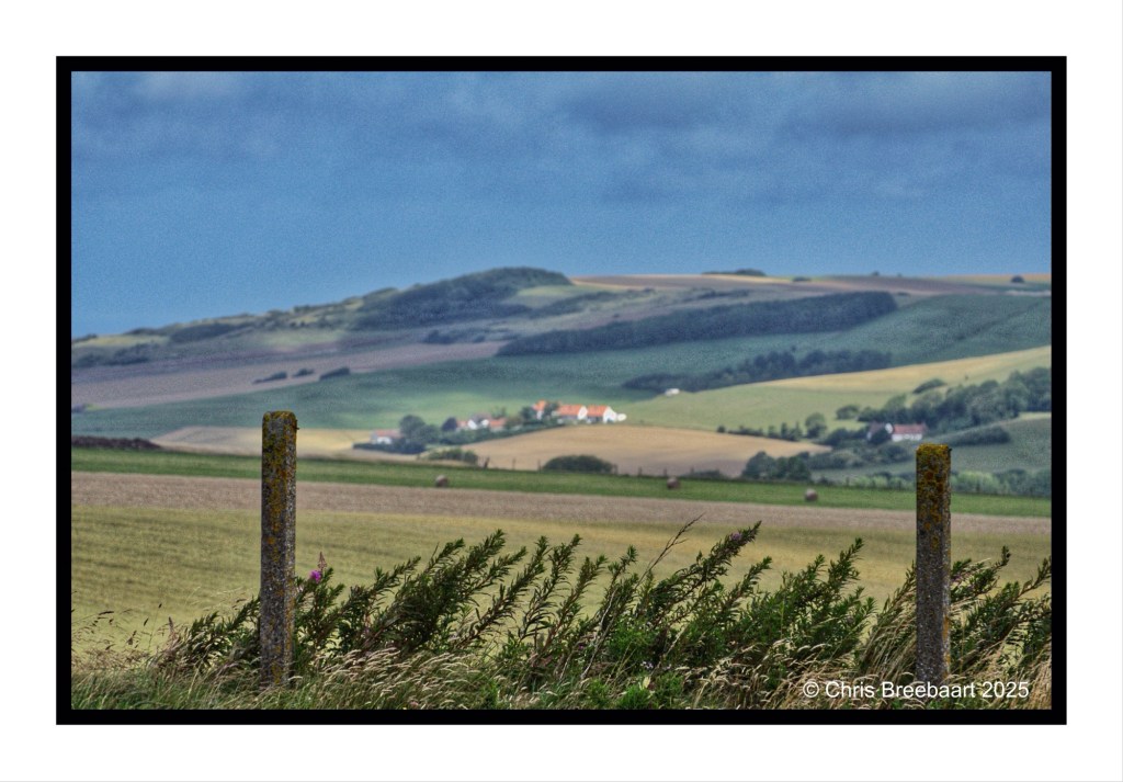 A scenic view of rolling hills in Pas de Calais, France, with a clear blue sky and two stone posts in the foreground surrounded by tall grass and shrubs.