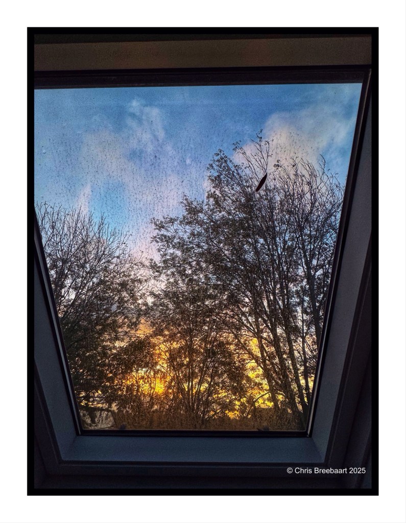 View from a skylight showing trees and a colorful sunset in the background, with a cloudy sky.