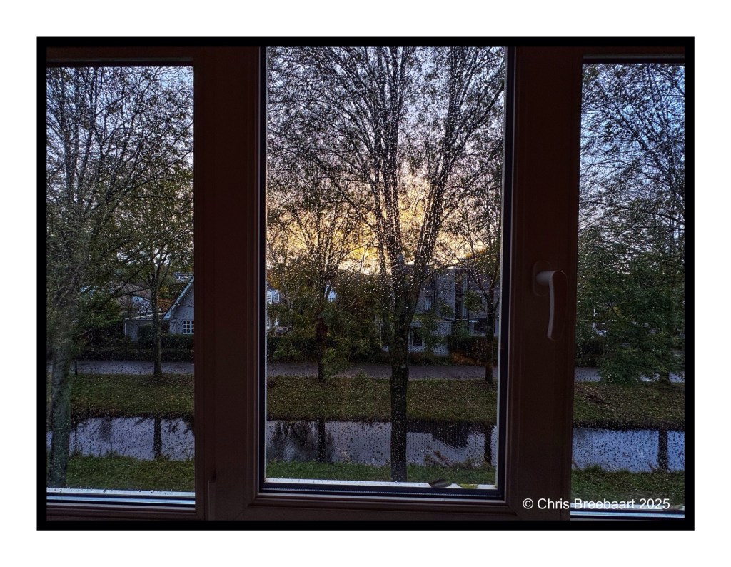 A view from a window showing trees and a canal, with raindrops on the glass and a soft sunrise in the background.