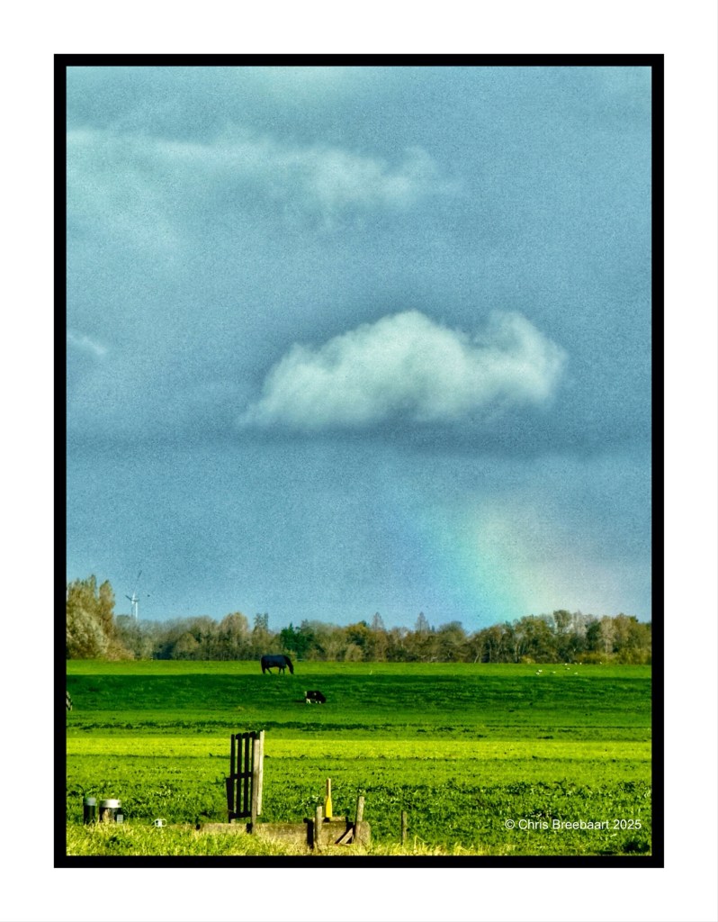 A meadow with green grass, two cows grazing, and a faint rainbow in the sky, partially hidden by clouds.