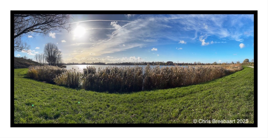 Landscape view of Klinkenberger Plas, showcasing a grassy shore with tall reeds beside a calm water body under a bright blue sky with scattered clouds.