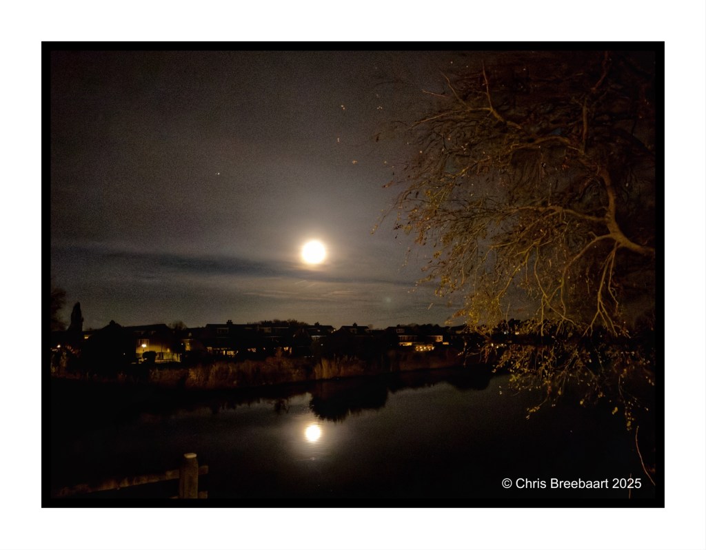 A full moon illuminating a canal at night, reflecting on the water, with a silhouetted tree in the foreground and houses in the background.