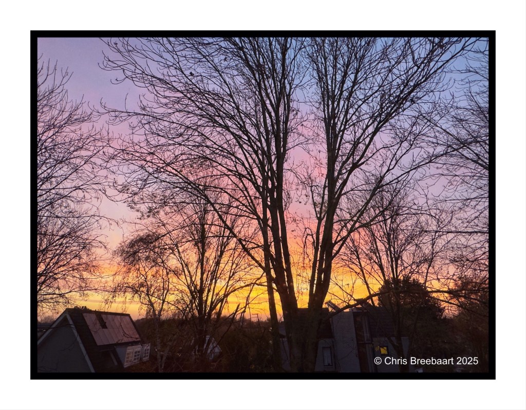 A beautiful autumn sunrise with vibrant orange and purple hues silhouetted against bare tree branches.