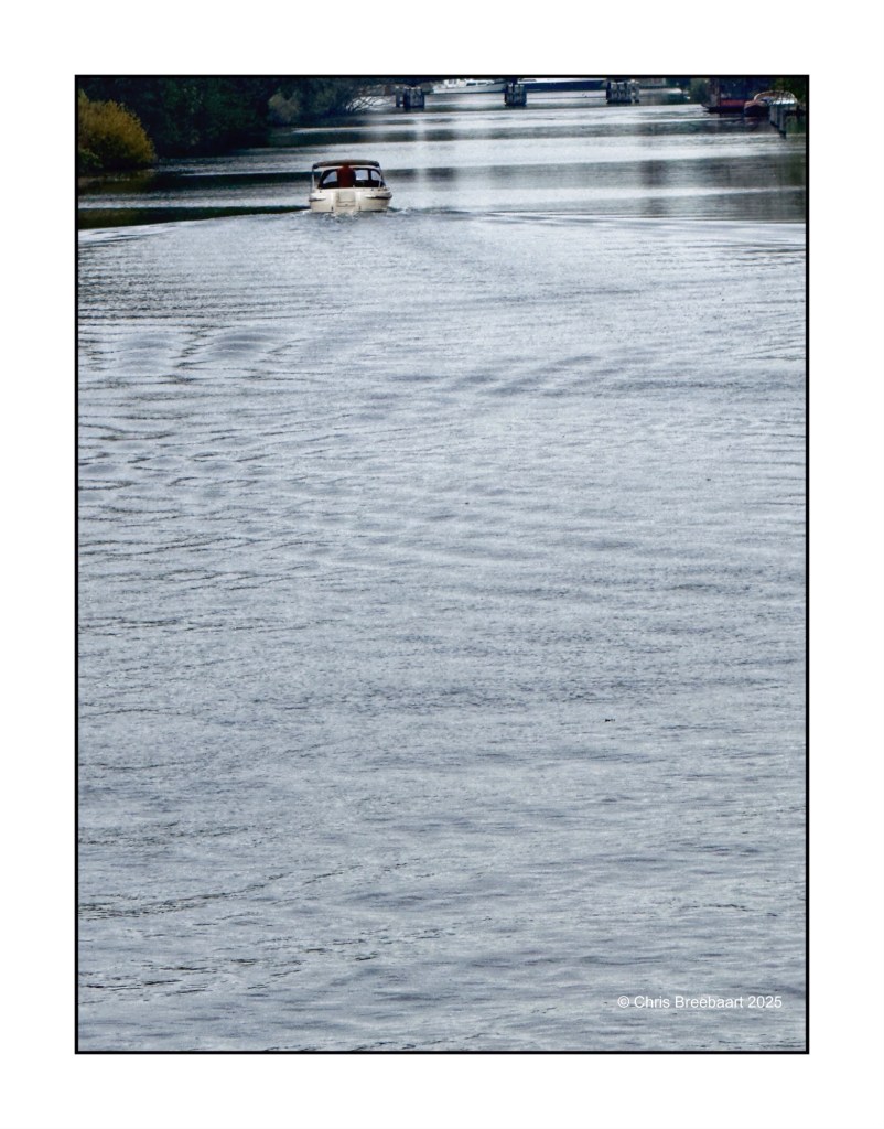 A small white boat navigating a calm waterway surrounded by greenery, with ripples visible on the water's surface.