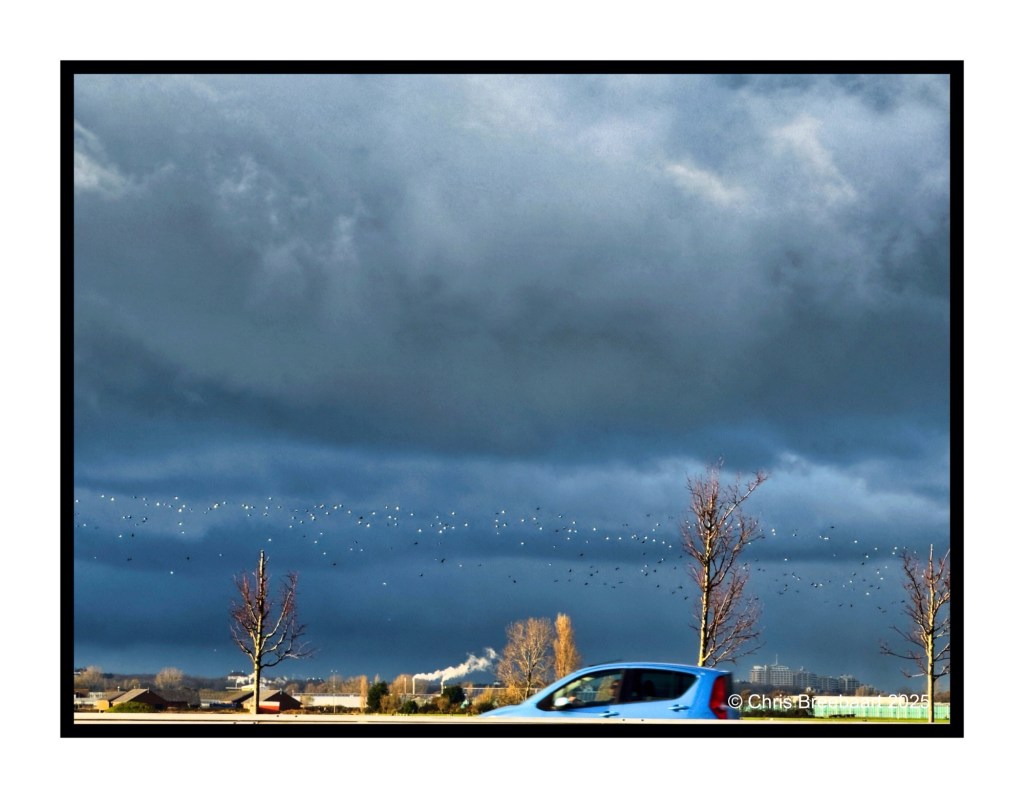 A long shot of a dark sky with heavy rain, featuring birds flying over motorway A44, with a blue car passing and bare trees in the foreground.