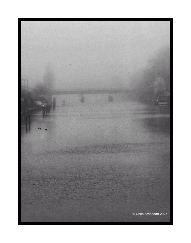 A foggy river scene with a bridge in the background, surrounded by trees and serene water, captured in black and white.