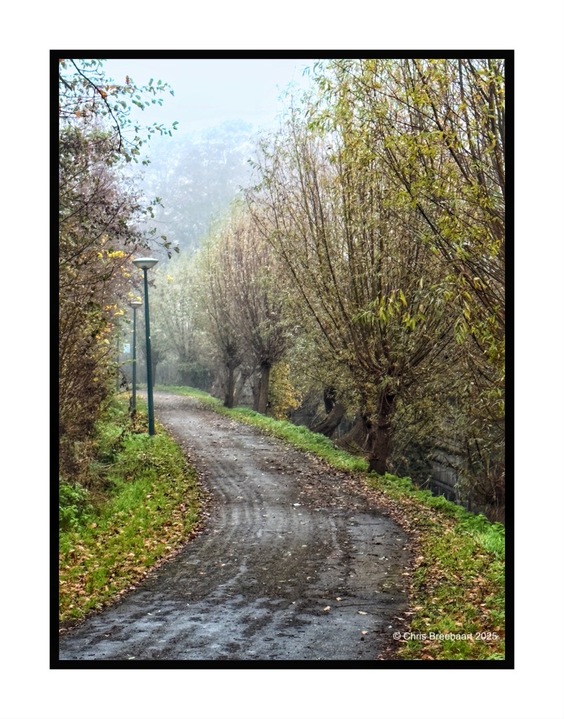 A misty autumn scene featuring a winding path lined with trees displaying fall colors in a village setting.