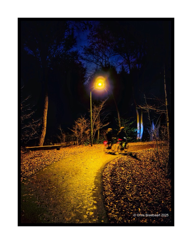 A dimly lit pathway in the Leidse Hout park at night, featuring a streetlamp illuminating a winding trail covered in fallen leaves, with two cyclists riding by.