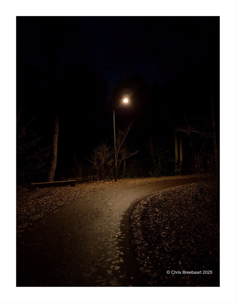 A dimly lit path winding through a dark wooded area, illuminated by a single streetlight, with fallen leaves lining the ground.
