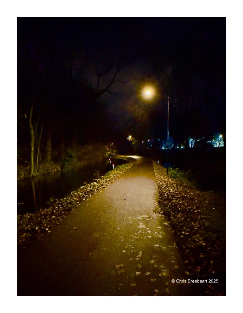Nighttime view of the Groene Maredijk in Leidse Hout, featuring a pathway lined with fallen leaves and illuminated by streetlights.
