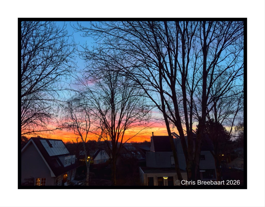A sunset view with vibrant orange, pink, and blue colors, framed by silhouetted trees and rooftops of houses.