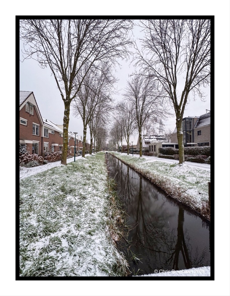 Winter scene featuring a snow-covered pathway lined with bare trees, a canal reflecting the surroundings, and residential houses in a quiet neighborhood.