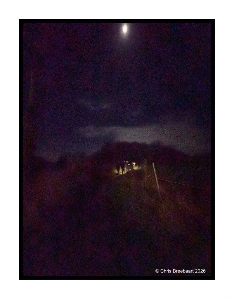 A dimly lit pathway at night with a bright moon overhead, featuring shadowy figures walking along the path, illuminated by faint light.