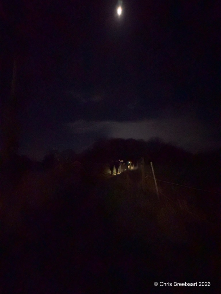 A group of people walking along a dark path illuminated by flashlights, with a bright moon in the night sky.