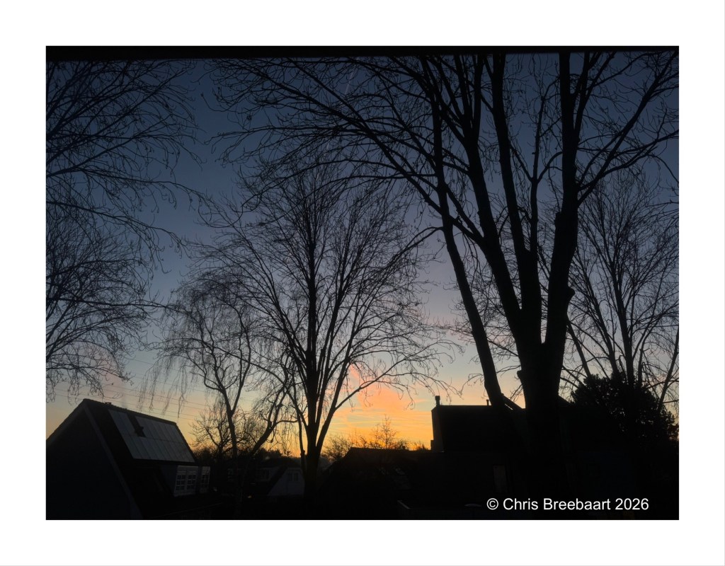 Silhouette of bare trees against a colorful sunset sky, with rooftops in the foreground.