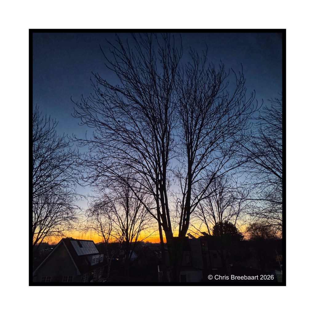 Silhouetted trees against a twilight sky with a gradient of blue and orange hues at sunset.