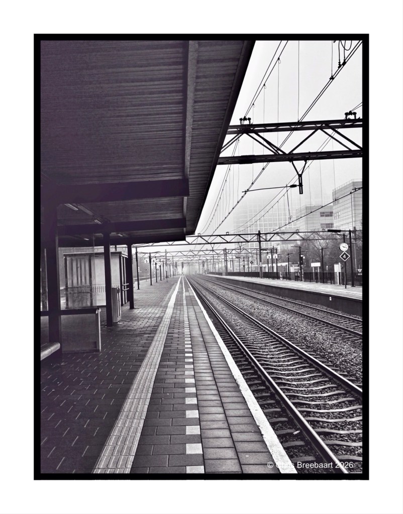 Black and white image of a train station platform with empty tracks stretching into the distance, under a covered waiting area.