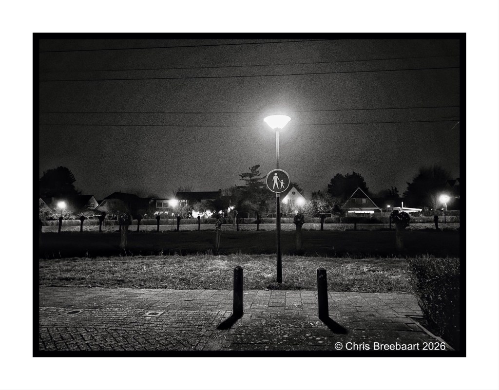 Nighttime view of a street with a pedestrian sign illuminated by a streetlight, surrounded by houses and trees in the background.
