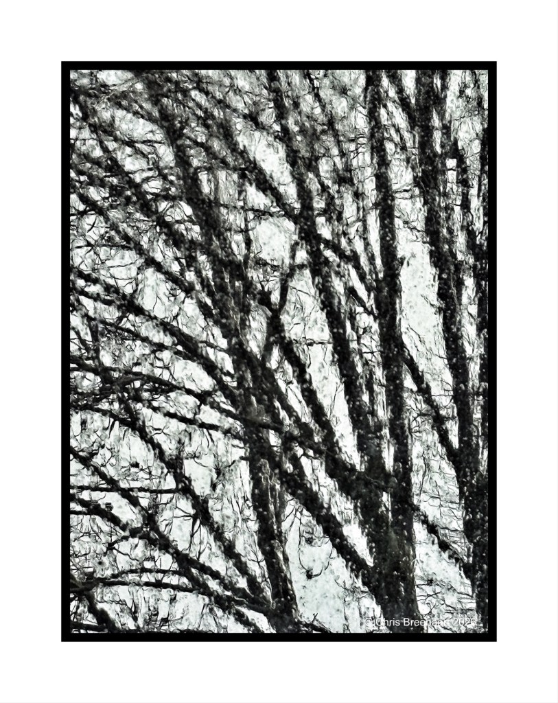 A close-up of bare tree branches with a blurred, abstract background, creating a textured appearance through condensation or rain.