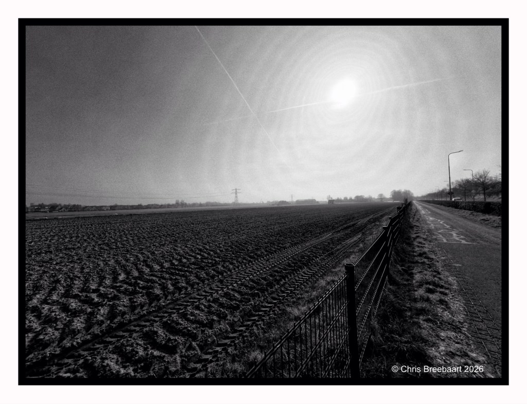 Black and white landscape photo showing a plowed field on the left and a dirt road bordered by a fence on the right. The sun is shining brightly in the sky with distant trees and power lines visible in the background.