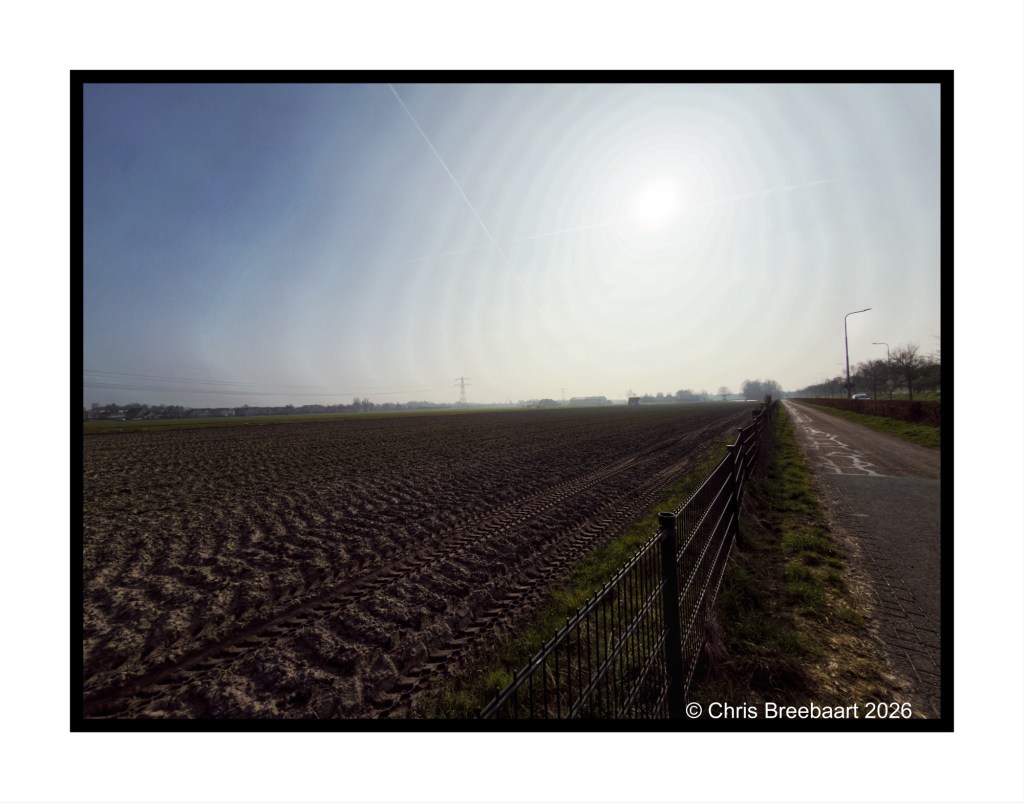 Panoramic view of a plowed agricultural field with a dirt road bordered by a fence and utility poles under a clear sky.
