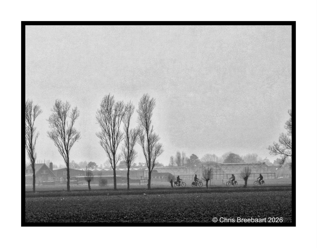 A monochrome image depicting five cyclists riding along a tree-lined path in a rural landscape, with fog obscuring the background.