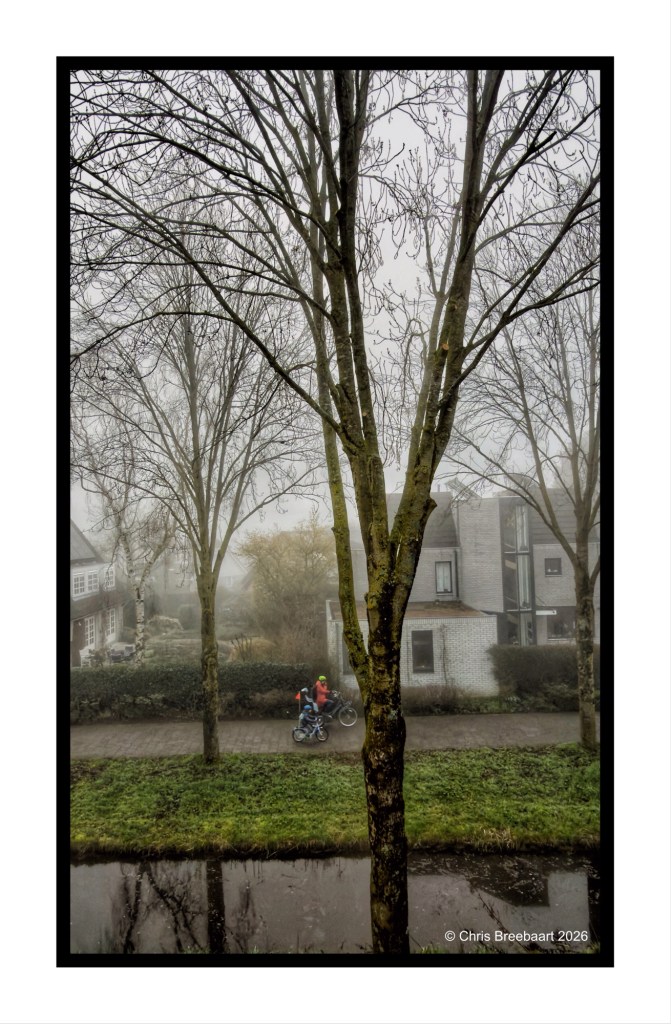 A foggy street scene with bare trees and two cyclists passing by on a path beside a canal.