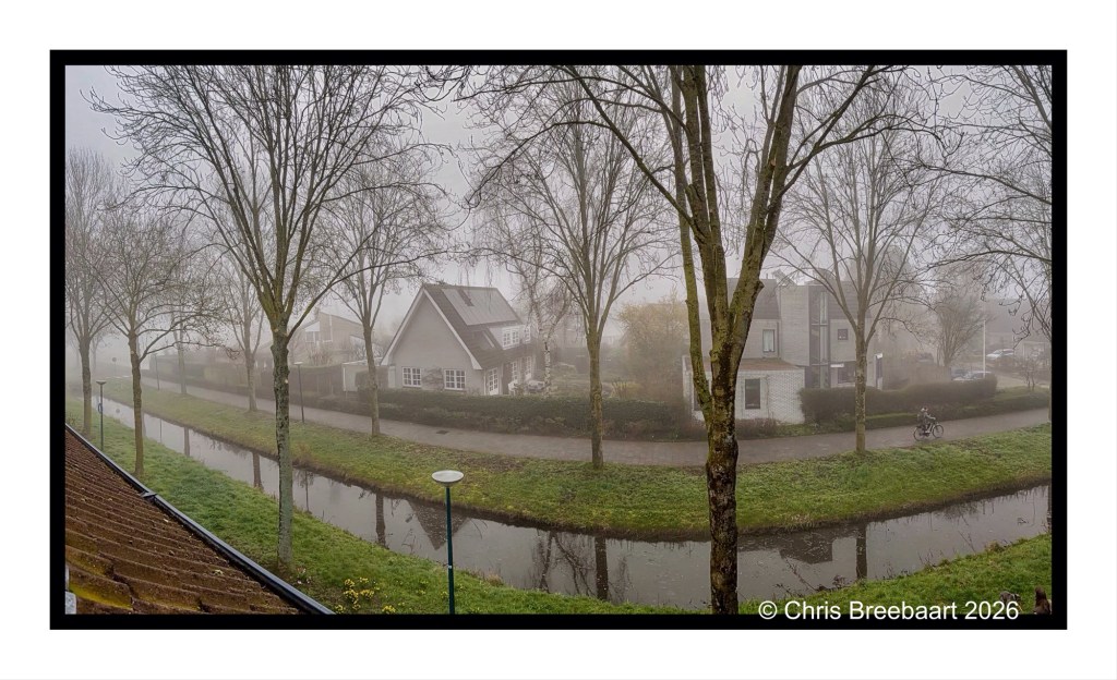 Foggy landscape view featuring a canal lined with trees and houses, with a cyclist on a pathway.