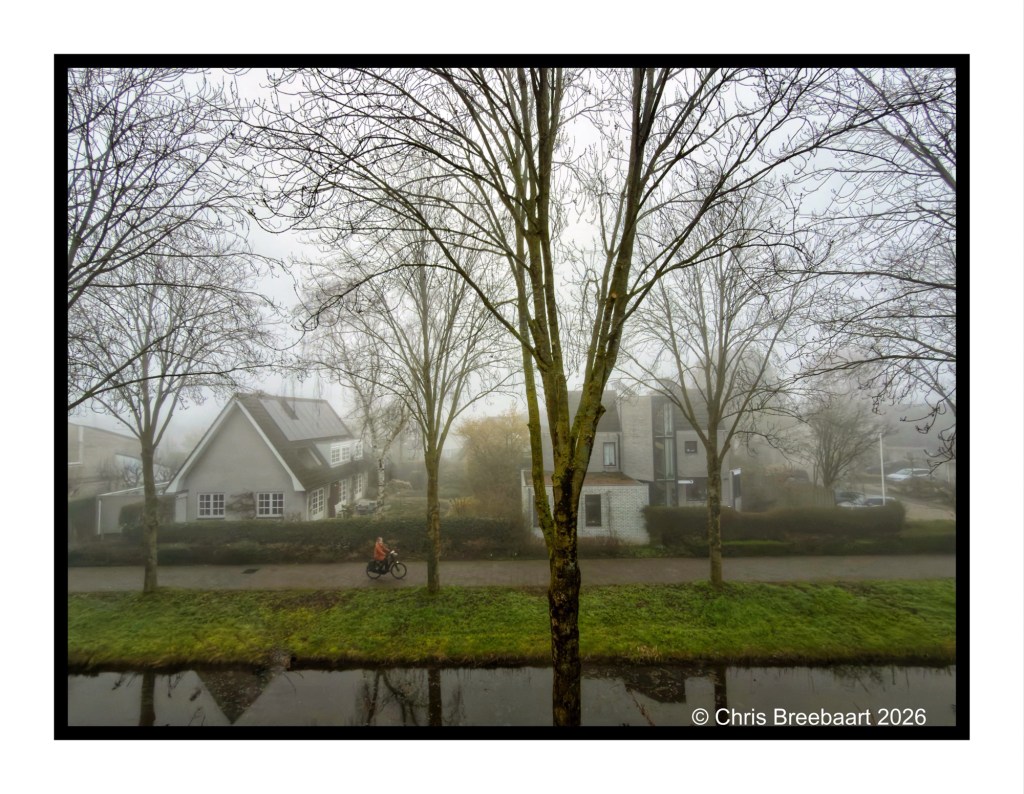 A foggy street scene with bare trees lining the sidewalk, featuring a cyclist in an orange jacket riding past residential houses, with a calm waterway visible in the foreground.
