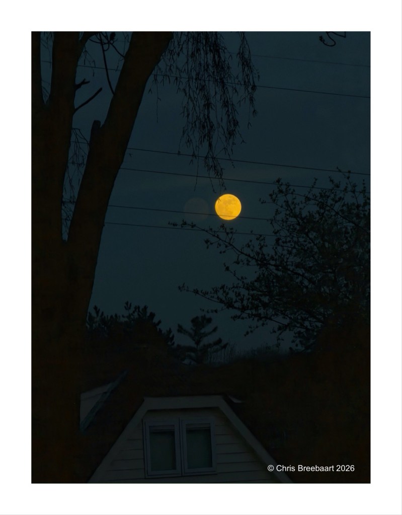 A bright full moon illuminated against a dark sky, partially obscured by tree branches and power lines, with a silhouette of a house in the foreground.