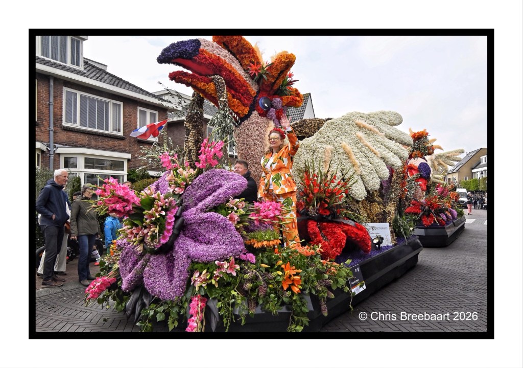 A flower float decorated with vibrant flowers and colorful designs, featuring a person in a floral outfit waving to the crowd, surrounded by onlookers, in a festive street setting.