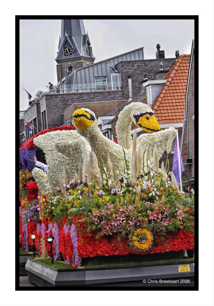 A floral parade float featuring two large swans made of flowers, surrounded by an array of colorful floral arrangements, with a cityscape in the background.