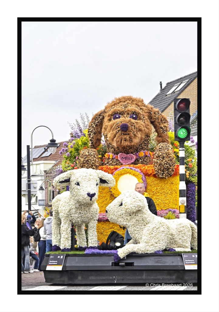 A colorful floral parade float featuring a large dog made of flowers with two sheep beside it, set against a backdrop of festival decorations and a traffic light.