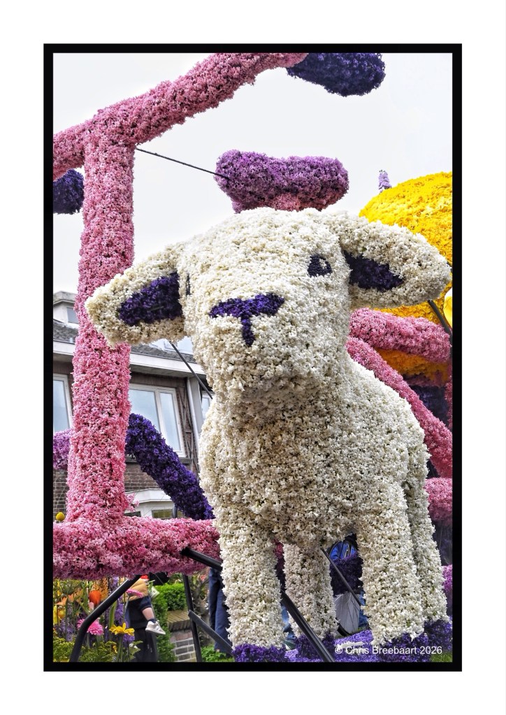 A floral representation of a sheep made from white and purple flowers, with colorful floral arches in the background.