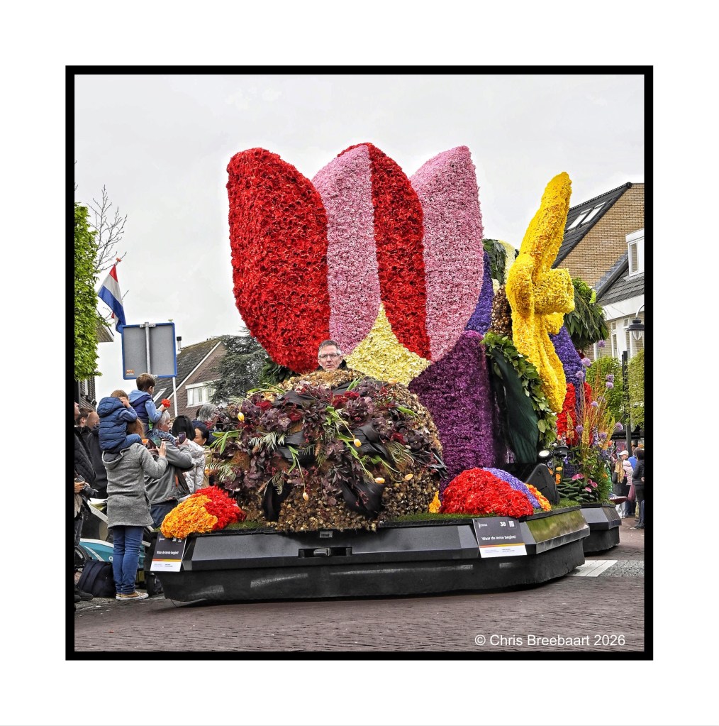 A colorful floral float decorated with various flowers and plants, featuring large flower shapes in vibrant hues, driven in a parade while onlookers admire and take photos.
