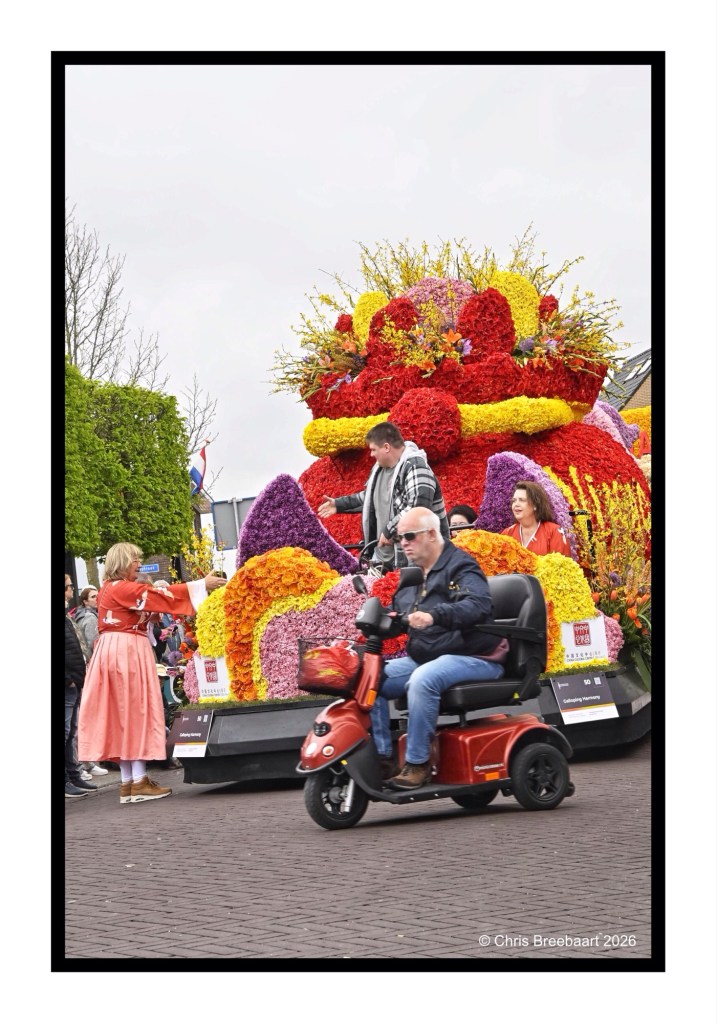 A man riding a red mobility scooter passes by a vibrant flower float at a parade, while people stand nearby, enjoying the scene.