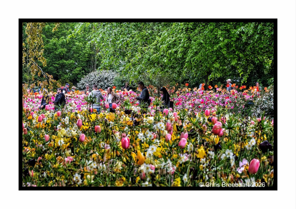 Visitors walking through a vibrant flower garden filled with colorful tulips and other blooming plants, surrounded by lush green trees.