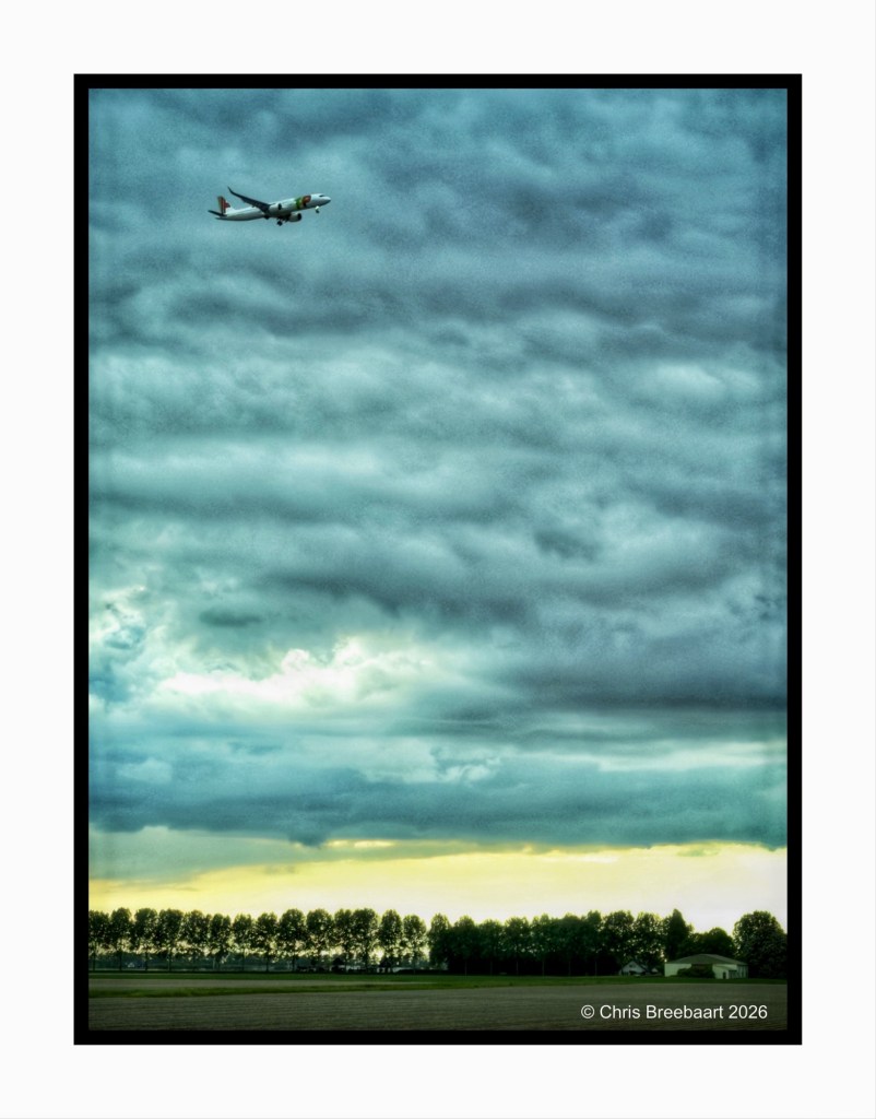 An airplane flying low against a backdrop of cloudy skies and a horizon featuring a line of trees.