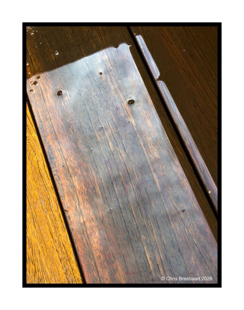 Close-up of wooden planks with sunlight reflecting off the surface, showcasing a mix of dark and light tones.