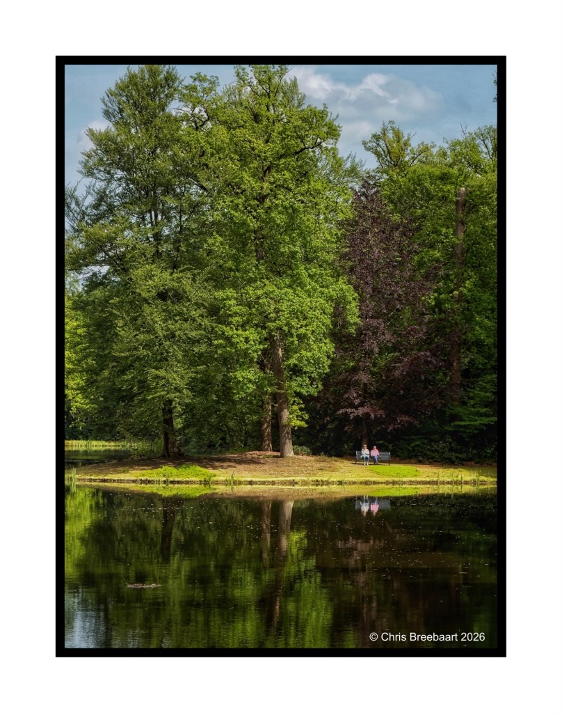 A serene park scene featuring lush green trees reflected in a calm lake, with two distant figures seated on the shore.