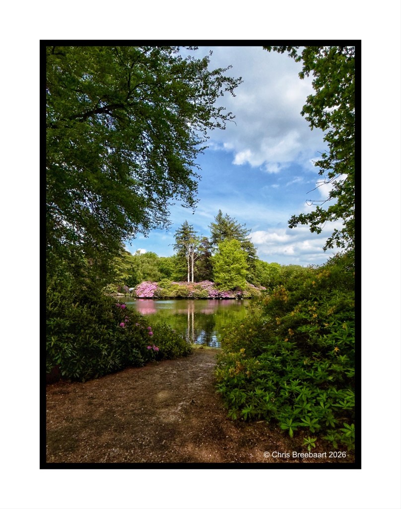 A serene view of a pond surrounded by lush greenery and blooming flowers, under a partly cloudy sky.