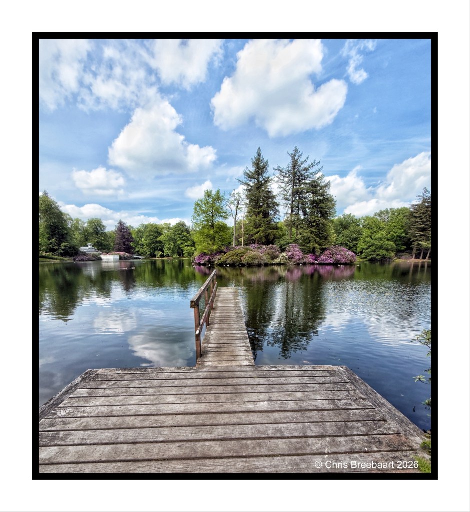 A wooden dock leading out over a calm lake surrounded by vibrant green trees and blooming flowers, with a bright blue sky and fluffy white clouds.